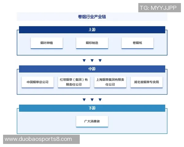 全球各国足球排名最新动态分析及未来发展趋势探讨